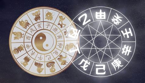 乙巳年2025|巳年・乙巳（きのとみ）干支で占う2025年の運勢は、どんな一。